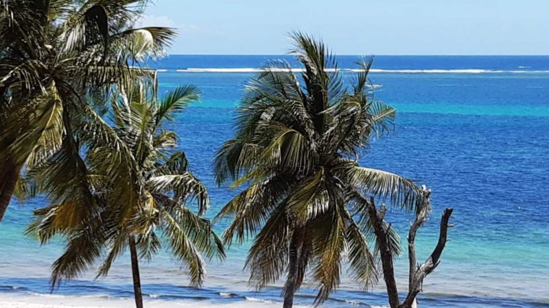 IMG-20191204-WA0001